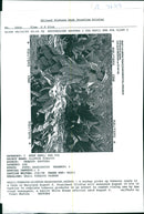 Tobacco - Vintage Photograph