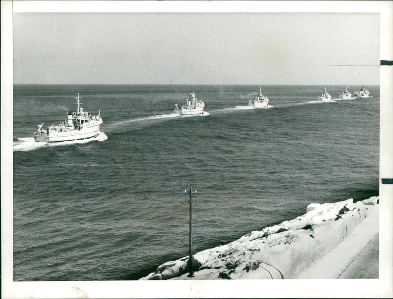 Minesweeper Ships - Vintage Photograph