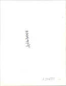 azerbaijan soldiers - Vintage Photograph