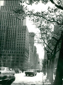 Fifth Avenue - Vintage Photograph