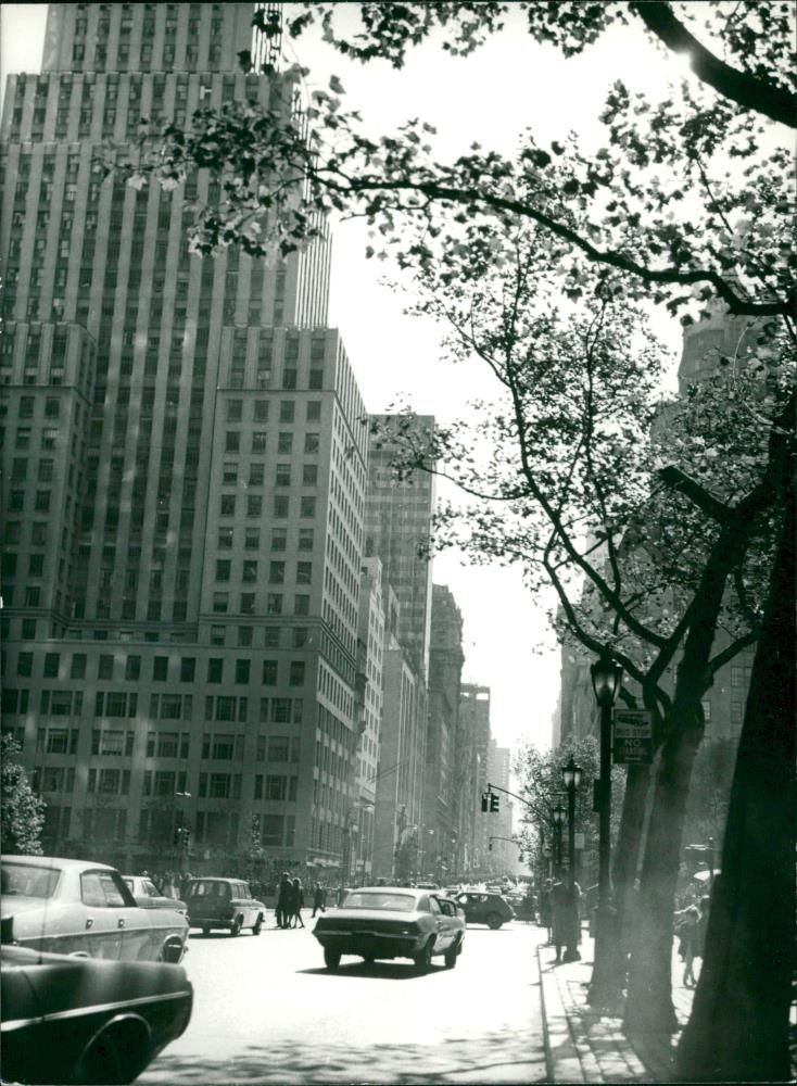 Fifth Avenue - Vintage Photograph