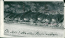 wuntickled trout Fish - Vintage Photograph