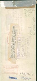 One of the allied hauls of prisoners. - Vintage Photograph