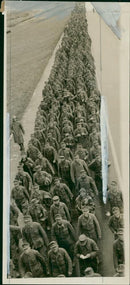 One of the allied hauls of prisoners. - Vintage Photograph