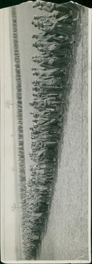 Germany war. - Vintage Photograph