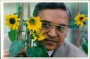 Sunflower award. - Vintage Photograph
