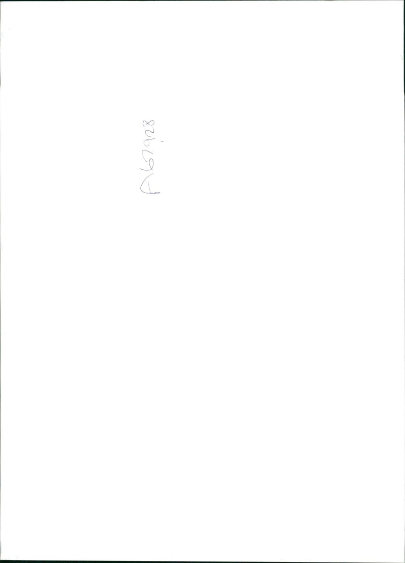 National Sunflowers week. - Vintage Photograph