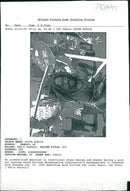 An Unidentified Musician in traditional dress dance. - Vintage Photograph