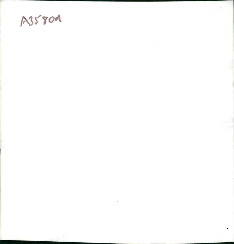 Michael Jackson American singer-songwriter. - Vintage Photograph