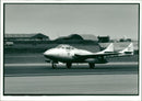 de Havilland Vampire - Vintage Photograph