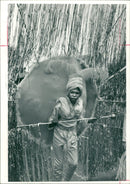 Notting Hill Carnival Music Festival - Vintage Photograph