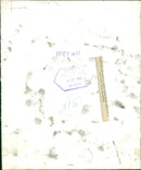 Gene Littler - Vintage Photograph