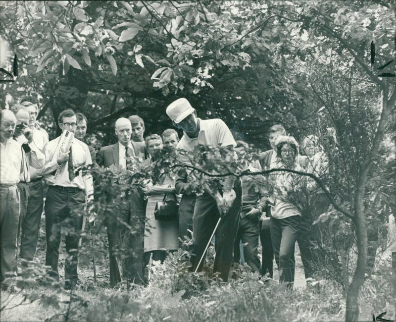 Woodsman - Vintage Photograph