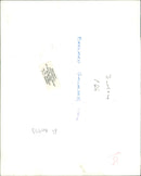 Bernard Gallacher Scottish professional golfer - Vintage Photograph