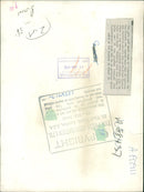 Tutankhamun solid gold death mask - Vintage Photograph