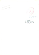 Tutankhamun - The Official Members - Vintage Photograph