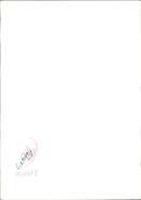 Tutankhamun - The membets - Vintage Photograph