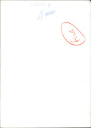 Tutankhamun - Howard Carter - Vintage Photograph