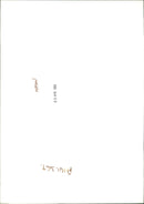 Vickers VC10 Jet airliner - Vintage Photograph