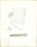 Roy Jenkins - Vintage Photograph