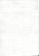 Roy Jenkins - Vintage Photograph