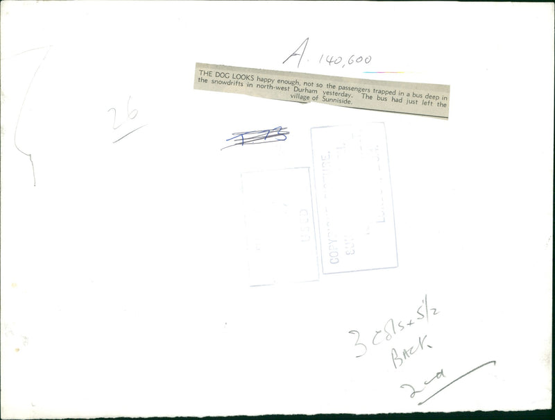 The dog looks happy enough. - Vintage Photograph