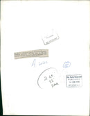 Roy Jenkins Politician - Vintage Photograph