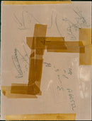 Roy Jenkins Politician - Vintage Photograph