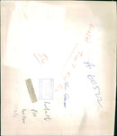 Roy Jenkins Politician - Vintage Photograph