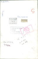 Roy Jenkins Politician - Vintage Photograph