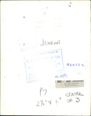 Roy Jenkins Politician - Vintage Photograph