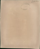 Roy Jenkins Politician - Vintage Photograph