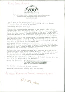 Mother and Babies Ring-Tailed Lemur - Vintage Photograph