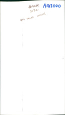 Ring Tailed Lemurs - Vintage Photograph