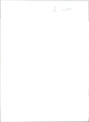 A ring-tailed Lemur - Vintage Photograph