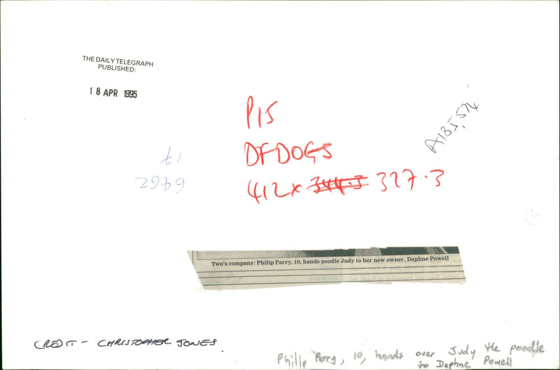 Philip Parry 10 hands pooddle Judy to her new owner. - Vintage Photograph