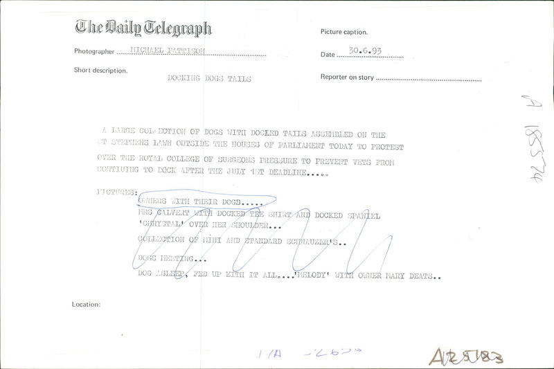 Owner with the dog. - Vintage Photograph