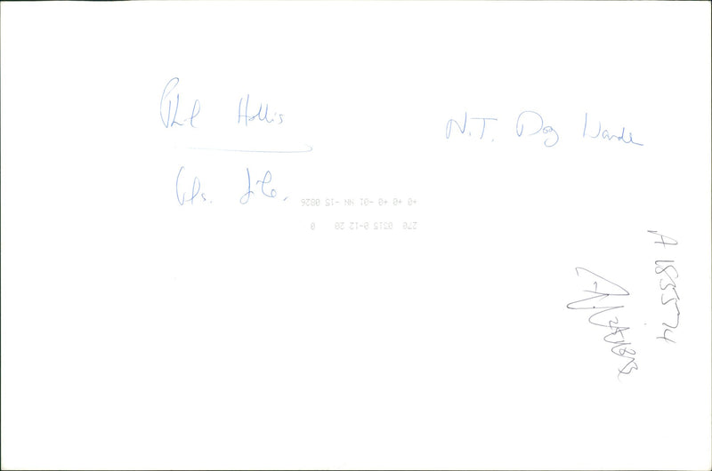 A woman cycling along some dogs. - Vintage Photograph