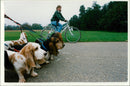 A woman cycling along some dogs. - Vintage Photograph