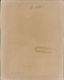 The astras medical firms chief veterinarian Crister Savholm with some twenty one surviving beagle dogs. - Vintage Photograph