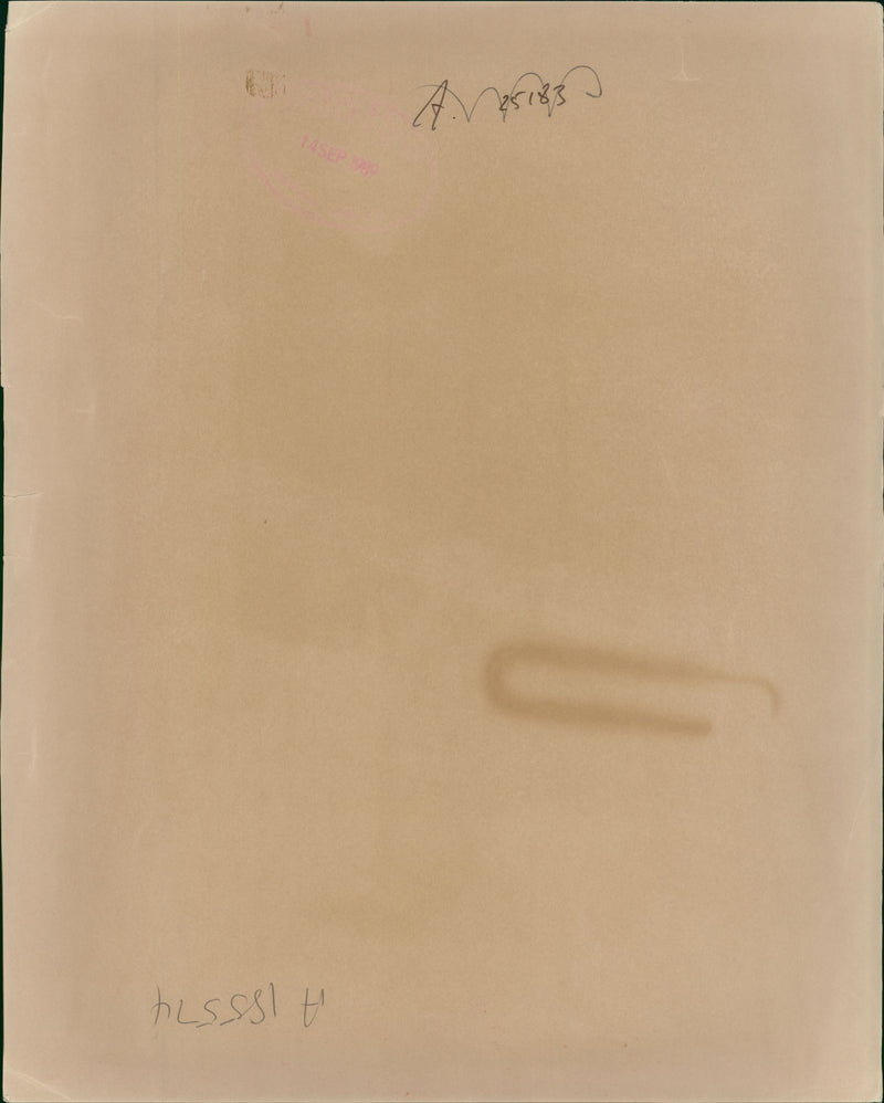 The astras medical firms chief veterinarian Crister Savholm with some twenty one surviving beagle dogs. - Vintage Photograph