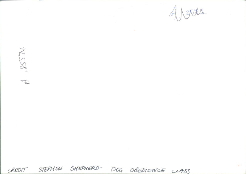 Dog obedience class. - Vintage Photograph