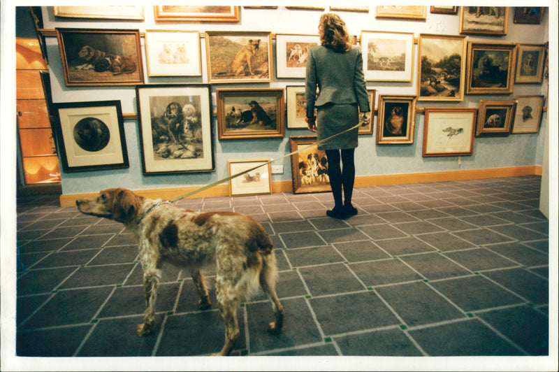 Cats and dogs in art. - Vintage Photograph