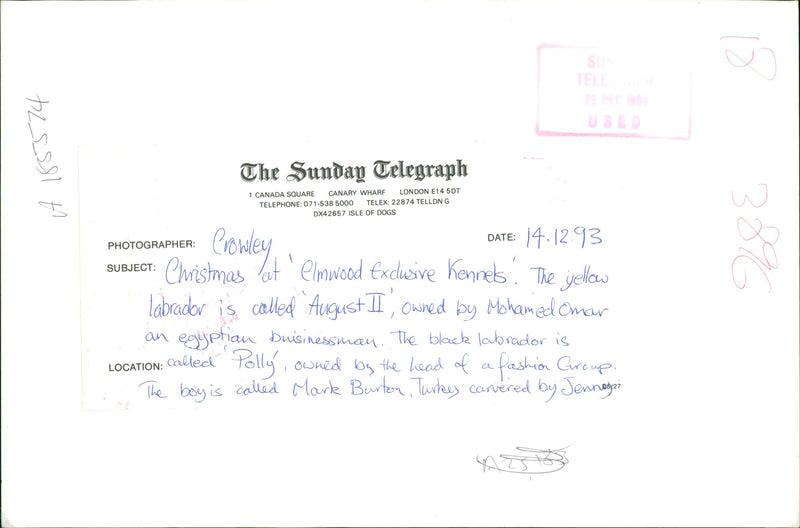 August II owned by Mohamed Omar. - Vintage Photograph