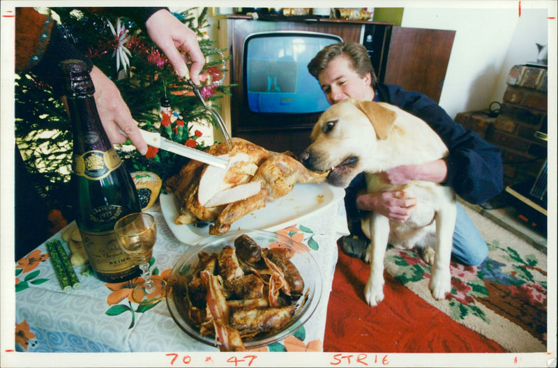 August II owned by Mohamed Omar. - Vintage Photograph