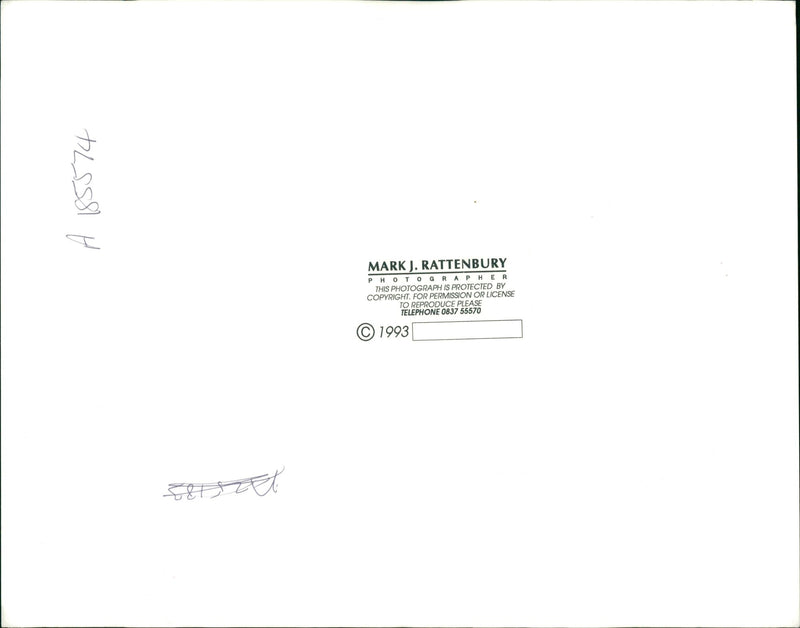 Photograph of a dog walking. - Vintage Photograph