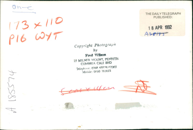 Owners with their dogs. - Vintage Photograph