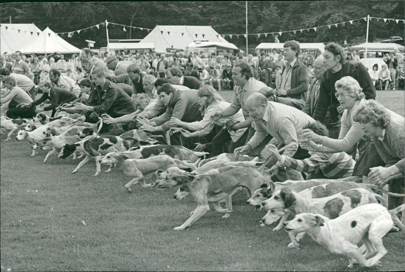 Owners with their dogs. - Vintage Photograph
