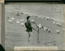 Mr. Philip Haines who farms ashwood bank farm. - Vintage Photograph