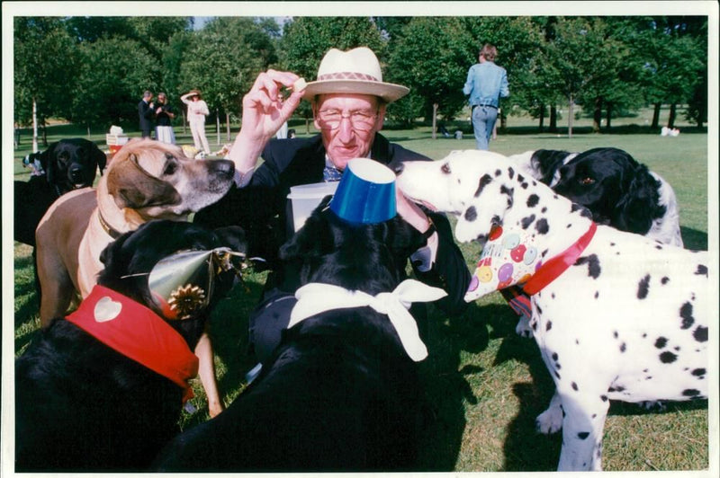 Kenneth Stern the birthday dog William, a dalmatian. - Vintage Photograph